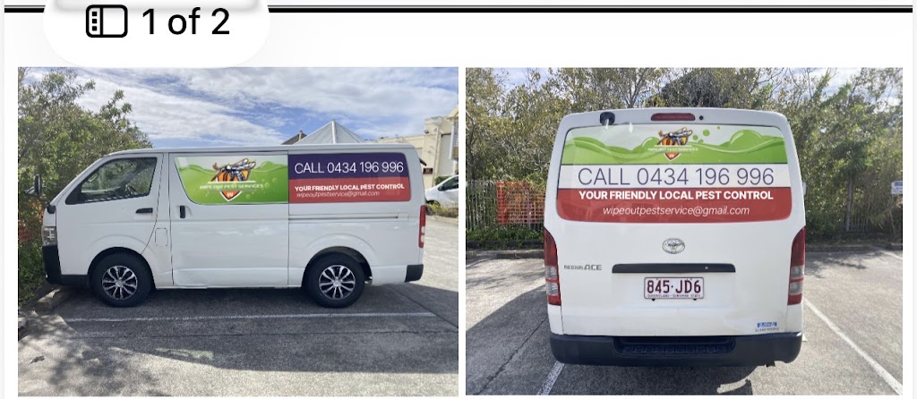 Wipeout pest services | 34 Maloney Cres, Maudsland QLD 4210, Australia | Phone: 0434 196 996