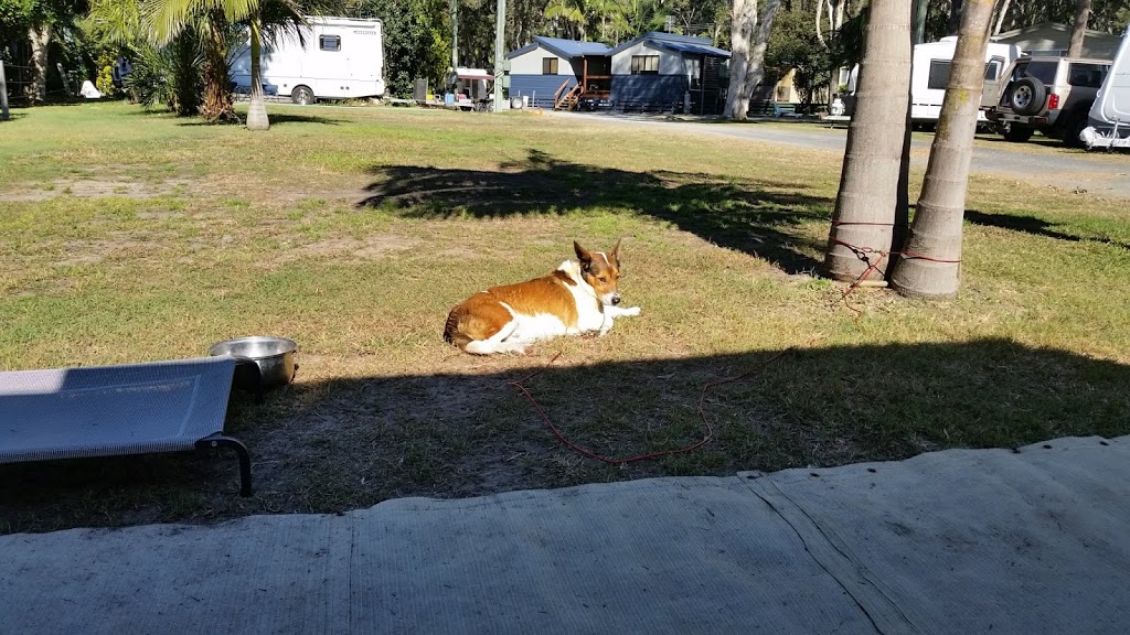 Sapphire Beach Holiday Park | 48 Split Solitary Rd, Sapphire Beach NSW 2450, Australia | Phone: (02) 6653 6212