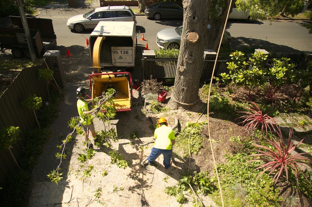 Small tree removals | 98 Oakbank Blvd, Whittlesea VIC 3757, Australia | Phone: 0416 695 138