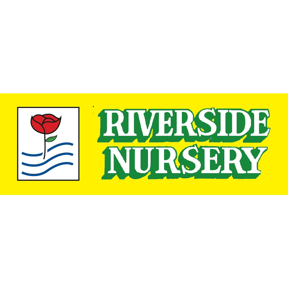 Riverside Nursery | store | 183 Morrisset St, Bathurst NSW 2795, Australia | 0263313121 OR +61 2 6331 3121