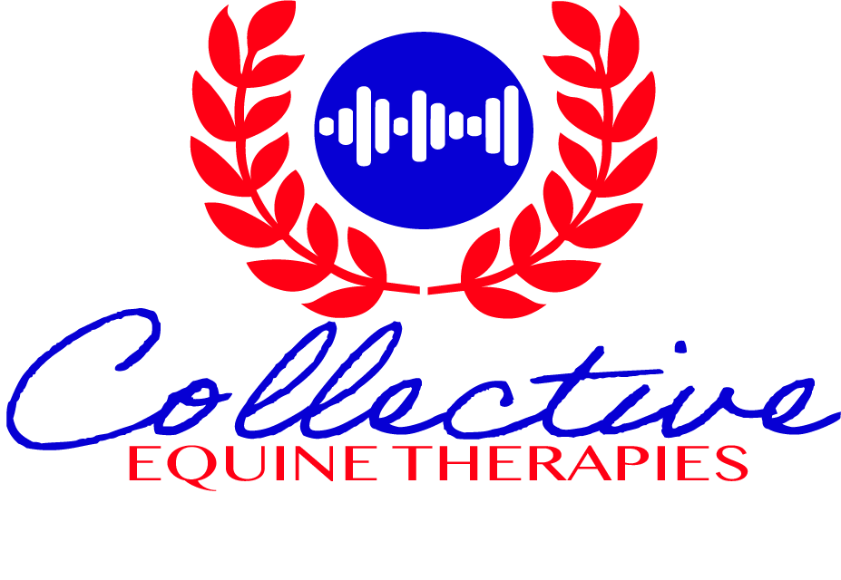 Collective Equine Therapies | 8 Joyce Rd, Plainland QLD 4341, Australia | Phone: 0429 706 049