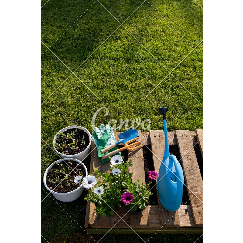 Mow-mentum Garden Solutions | 9 Norman St, Warrnambool VIC 3280, Australia | Phone: 0455 578 658