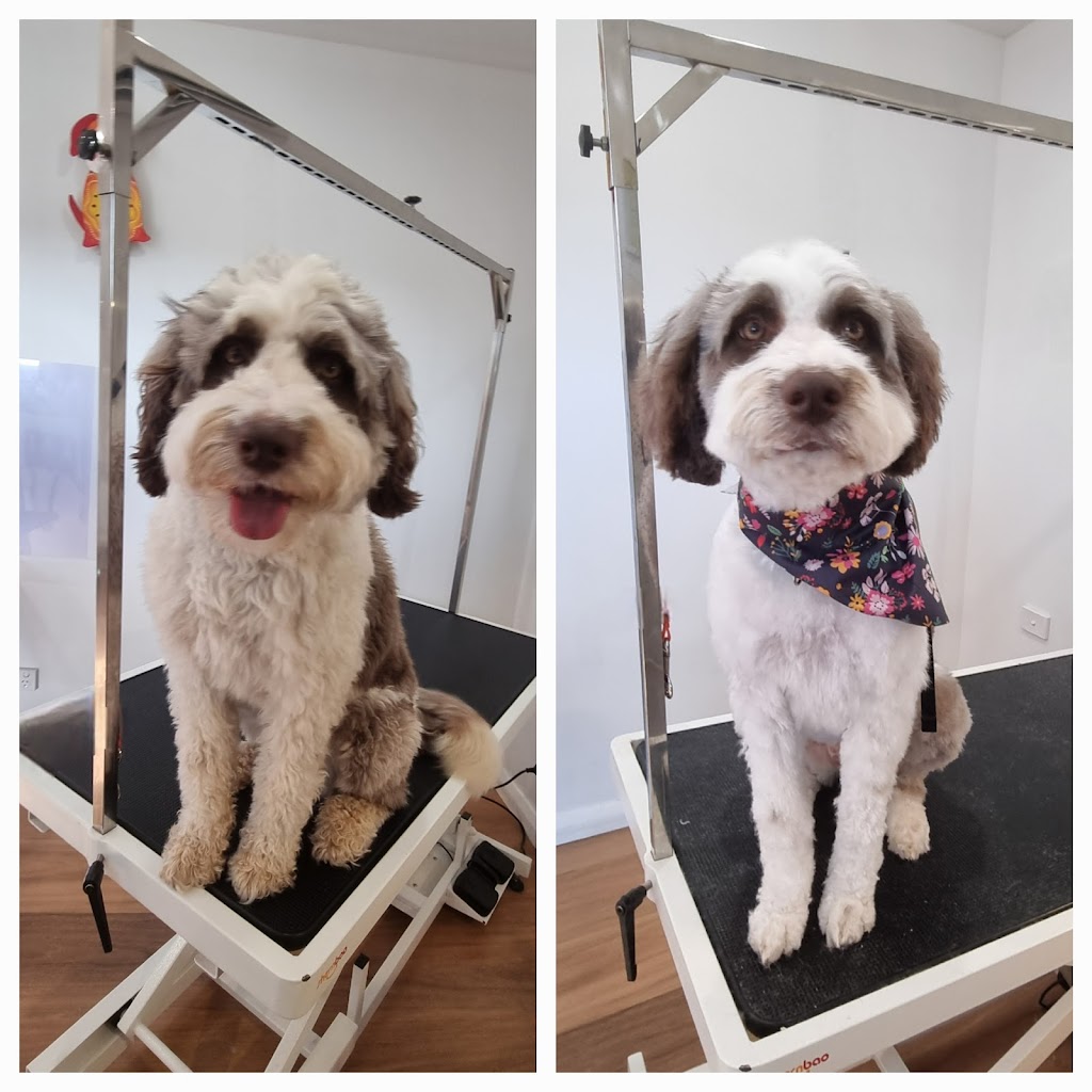 Alpine Doggy DTailing | 2 Mathews St, Myrtleford VIC 3737, Australia | Phone: 0456 698 455