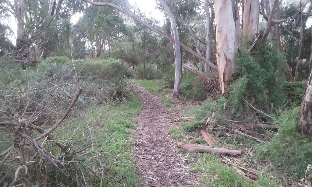Main Yarra Trail | Main Yarra Trail, Viewbank VIC 3084, Australia