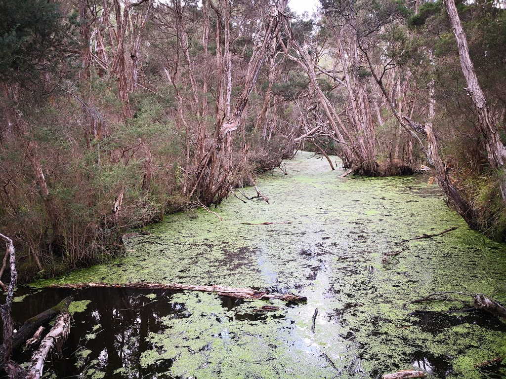 Briars Wildlife Sanctuary | Wetland Walk, Mount Martha VIC 3934, Australia