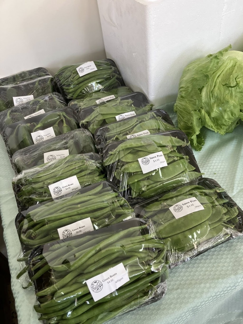 Harvest Fresh Tatura | 51-55 Hogan St, Tatura VIC 3616, Australia | Phone: 0419 310 135