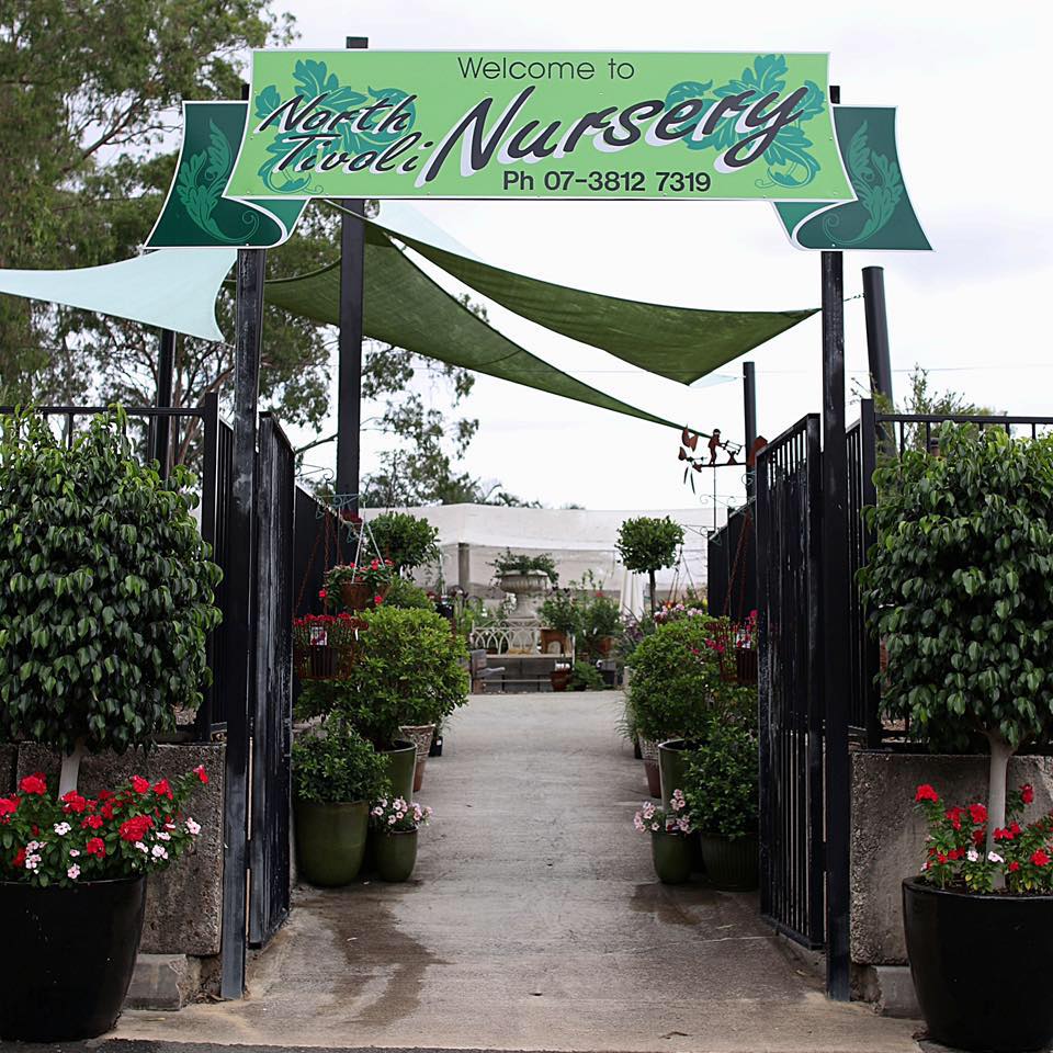 North Tivoli Nursery | 222-224 Mount Crosby Rd, North Tivoli QLD 4305, Australia | Phone: (07) 3812 7319