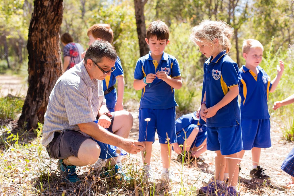 Carmel Adventist College - Primary | school | 18 First Ave, Bickley WA 6076, Australia | 0892916399 OR +61 8 9291 6399