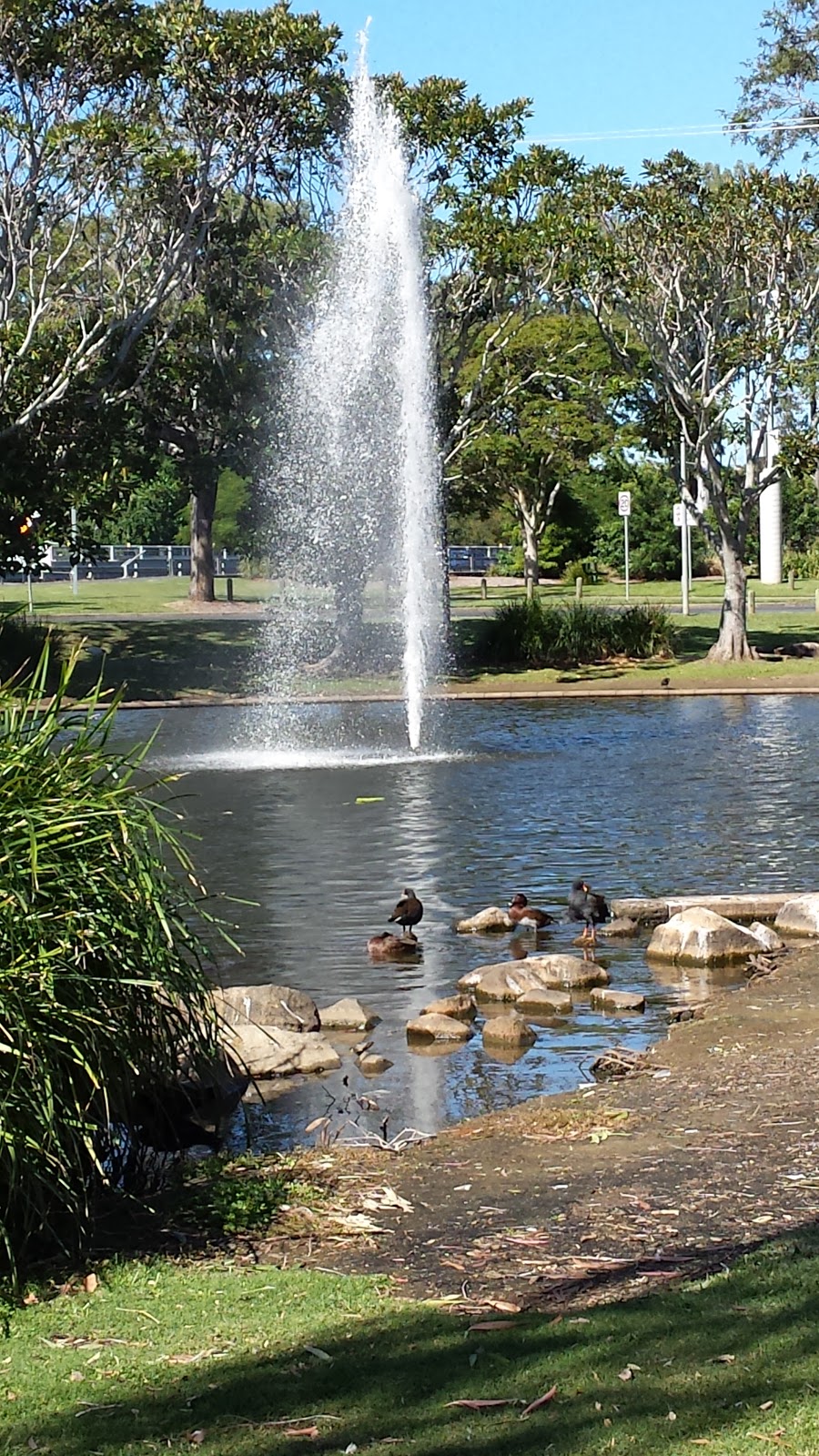 Apex Park - Caboolture | park | Centenary Lakes, Morayfield Rd, Caboolture QLD 4510, Australia