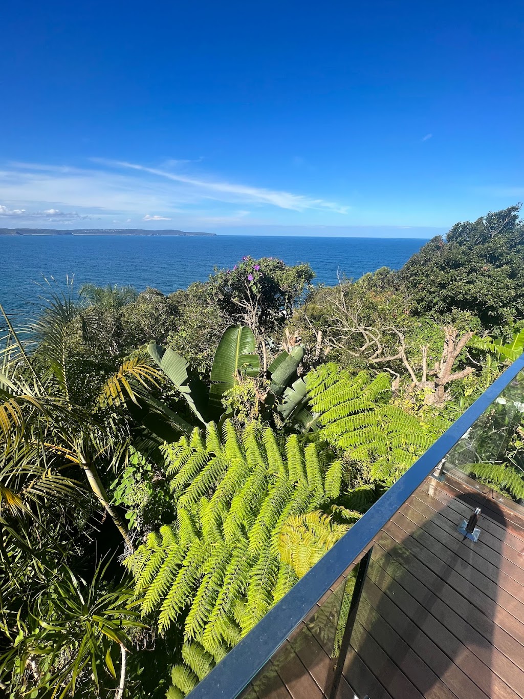 EcoArbor - Tree Care | 72 Surfview Rd, Mona Vale NSW 2103, Australia | Phone: 0412 282 738