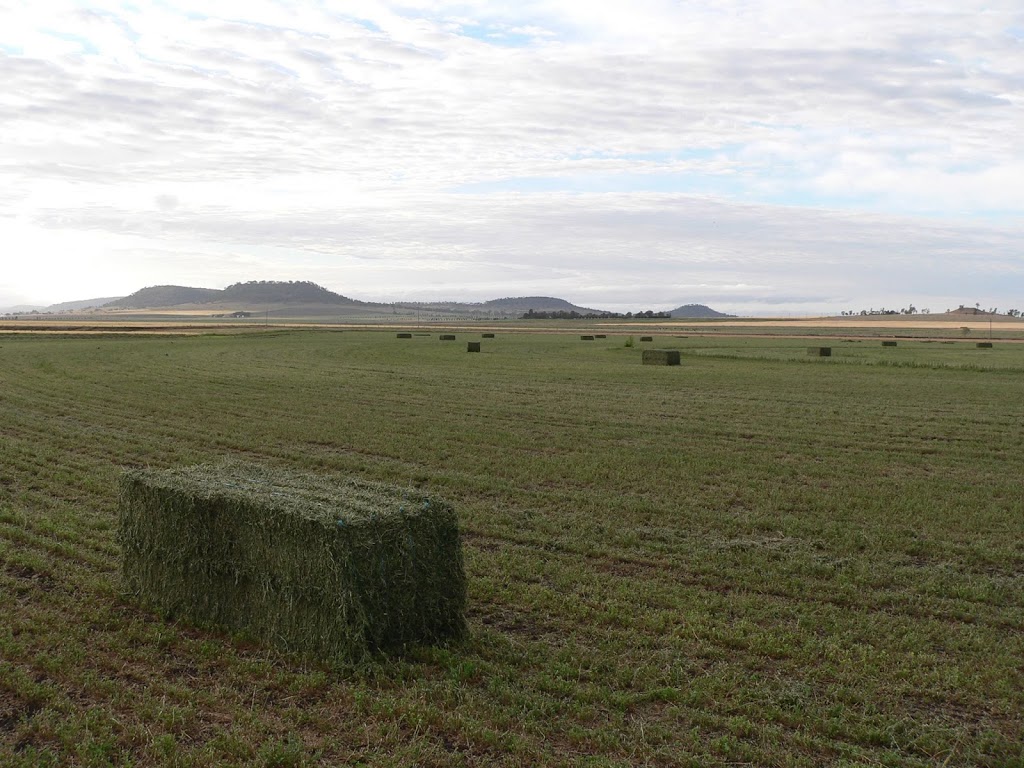 Parklyon Hay Supplies | 952 Mount Sibley Rd, Ascot QLD 4359, Australia | Phone: 0417 972 164