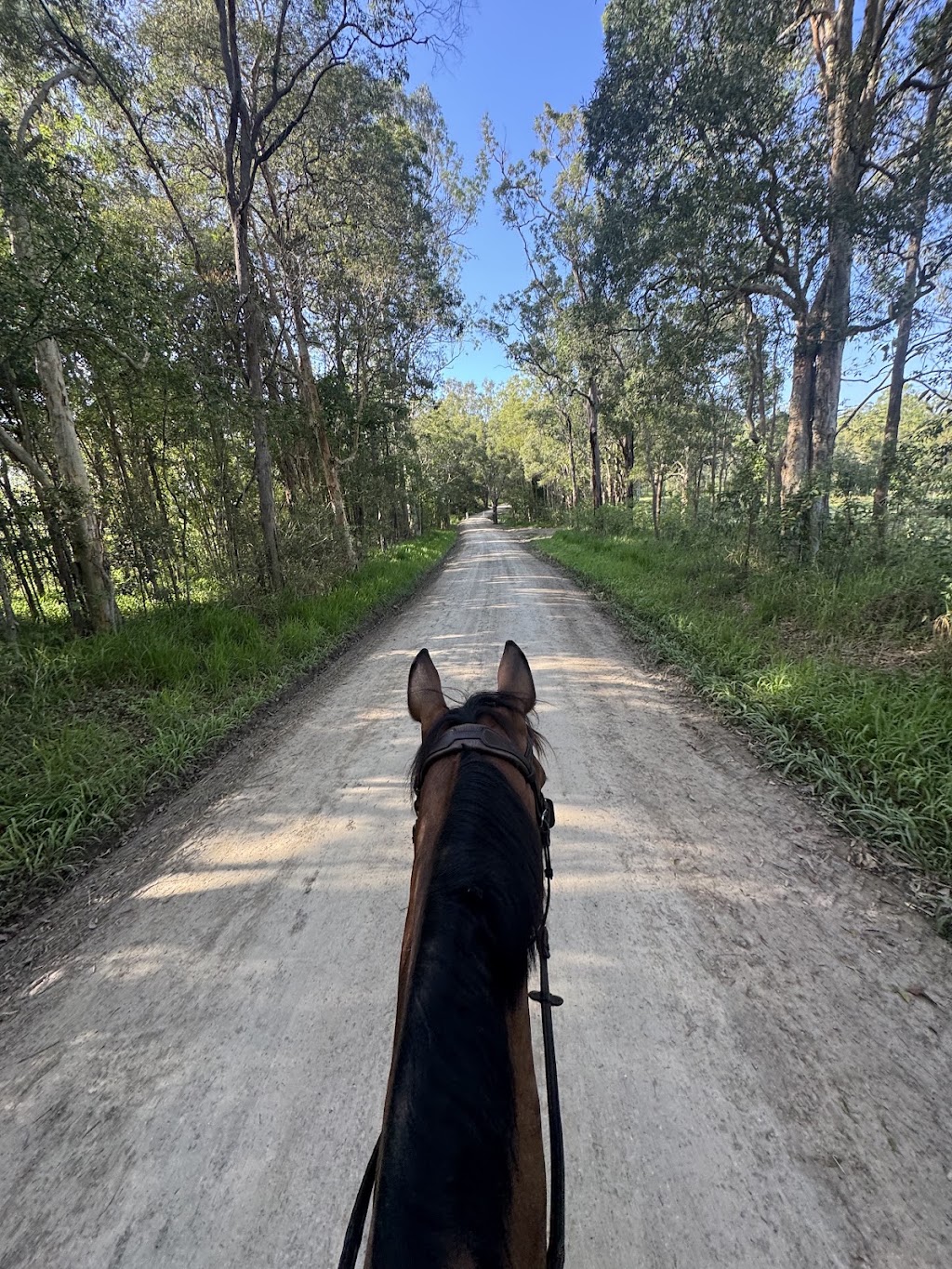 Relaxation & Wellness Horse Riding Retreat | 59 Ardwick Ct, Stanmore QLD 4514, Australia | Phone: 0402 824 149
