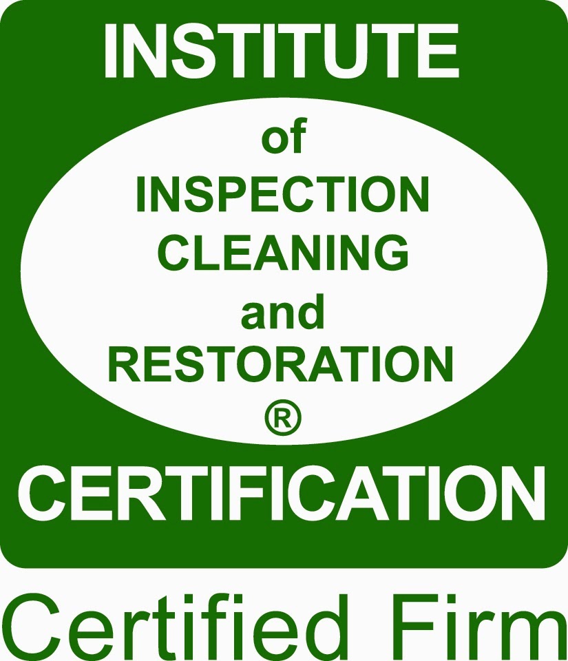 Dry Clean Carpets and Pest Control | 39 Brighton St, Biggera Waters QLD 4216, Australia | Phone: 0430 774 493