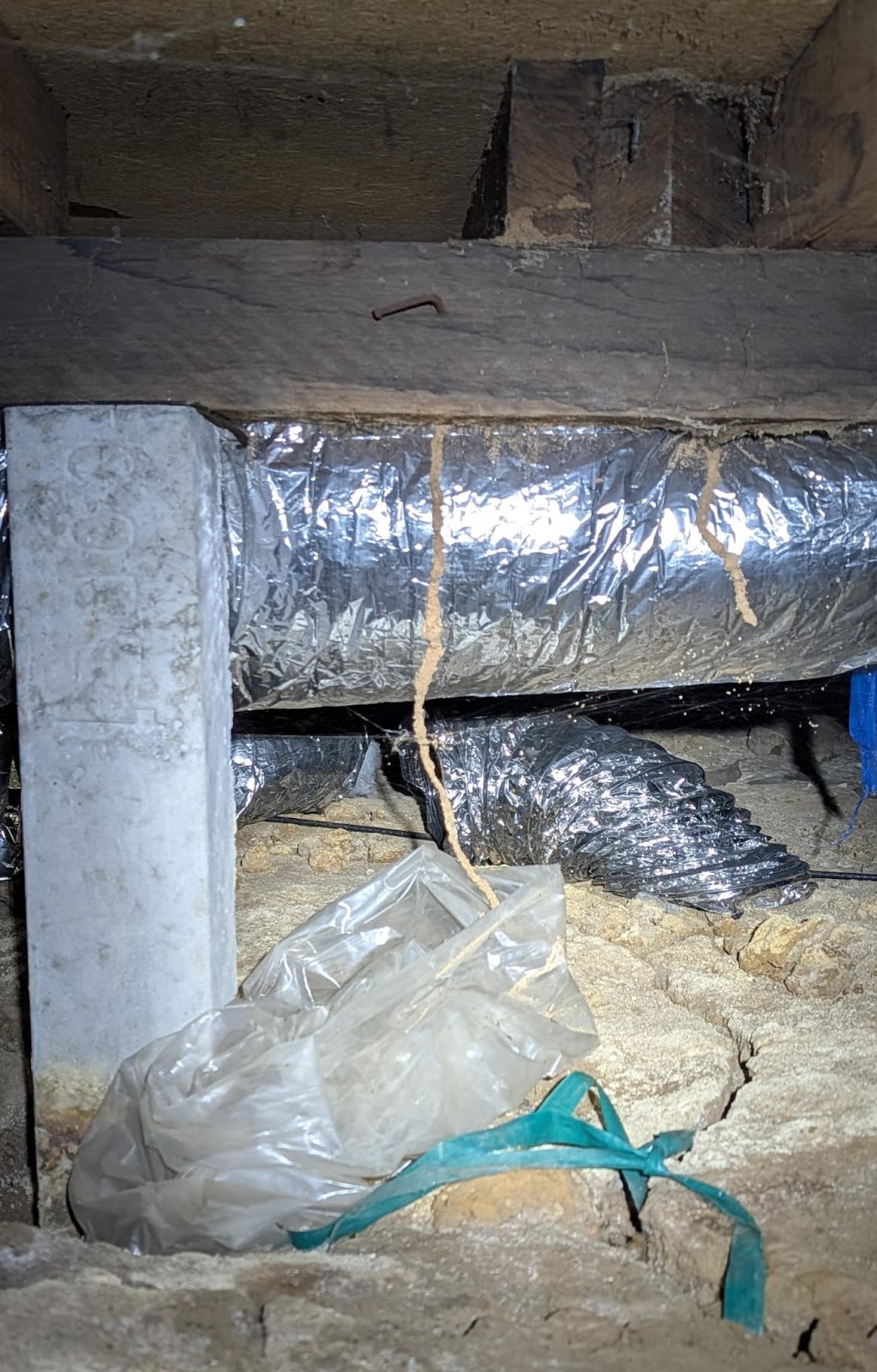 7 States pest control Seymour | 40 Goulburn St, Seymour VIC 3660, Australia | Phone: 0434 660 060