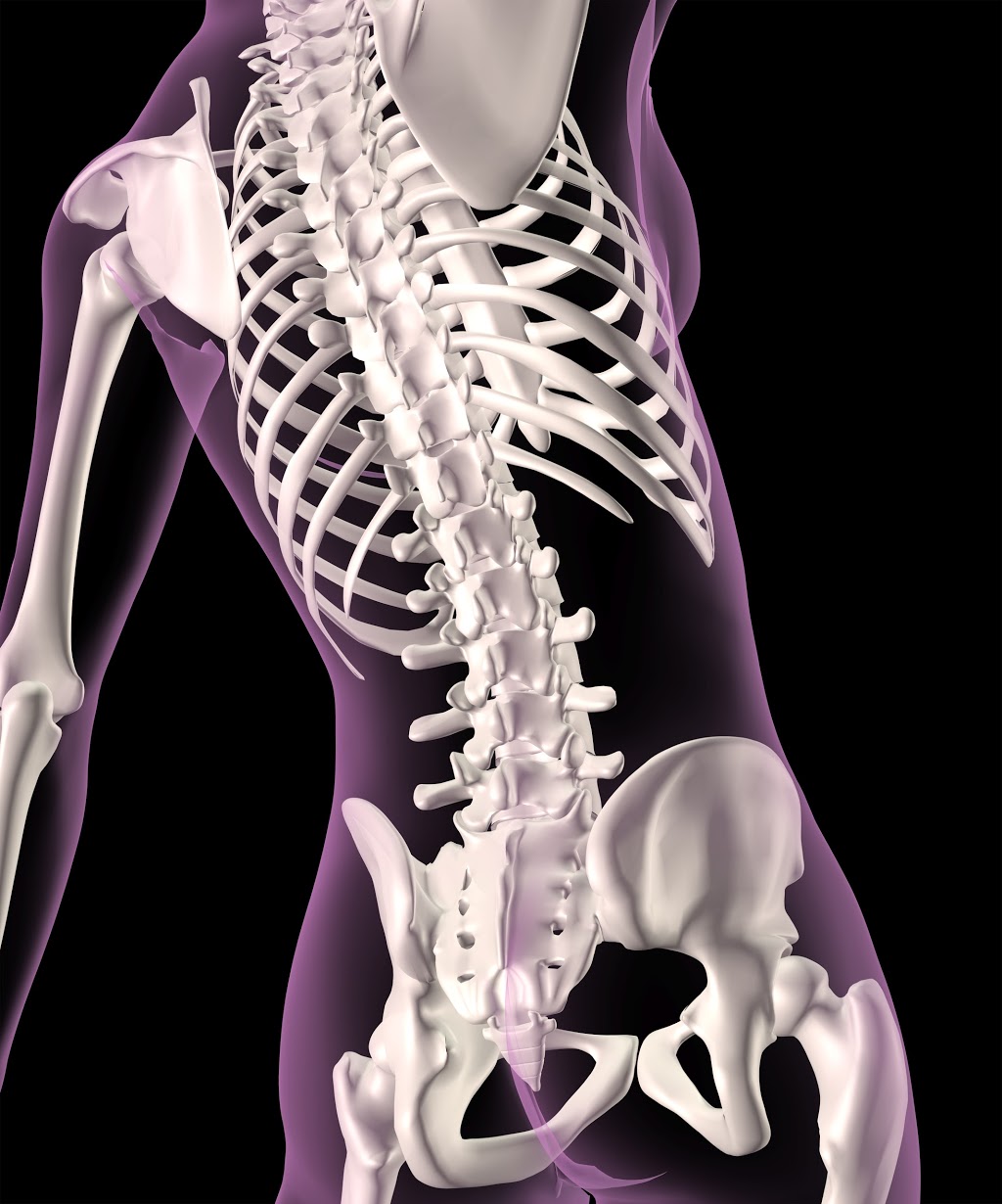 Aligning Canine Chiropractic | 1165 Main Rd, Eltham VIC 3095, Australia | Phone: (03) 9431 3502