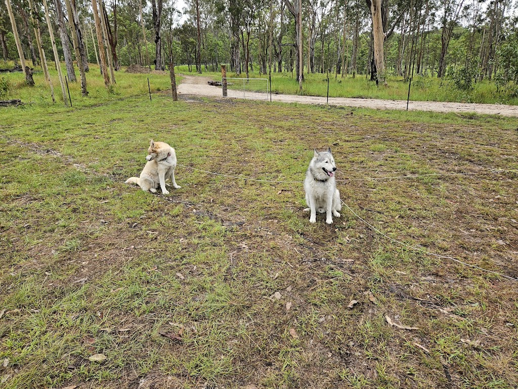 Husky Heaven Tabulam NSW | Bruxner Hwy, Tabulam NSW 2469, Australia | Phone: 0415 169 965