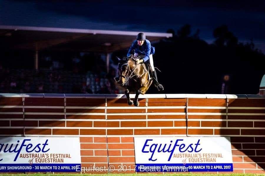 James Equestrian | 188 Armstrong Rd, Biddaddaba QLD 4275, Australia | Phone: 0422 171 421