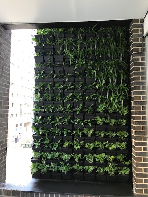 Custom Vertical Gardens | 13/18 Sloane St, Maribyrnong VIC 3032, Australia | Phone: 0418 344 309