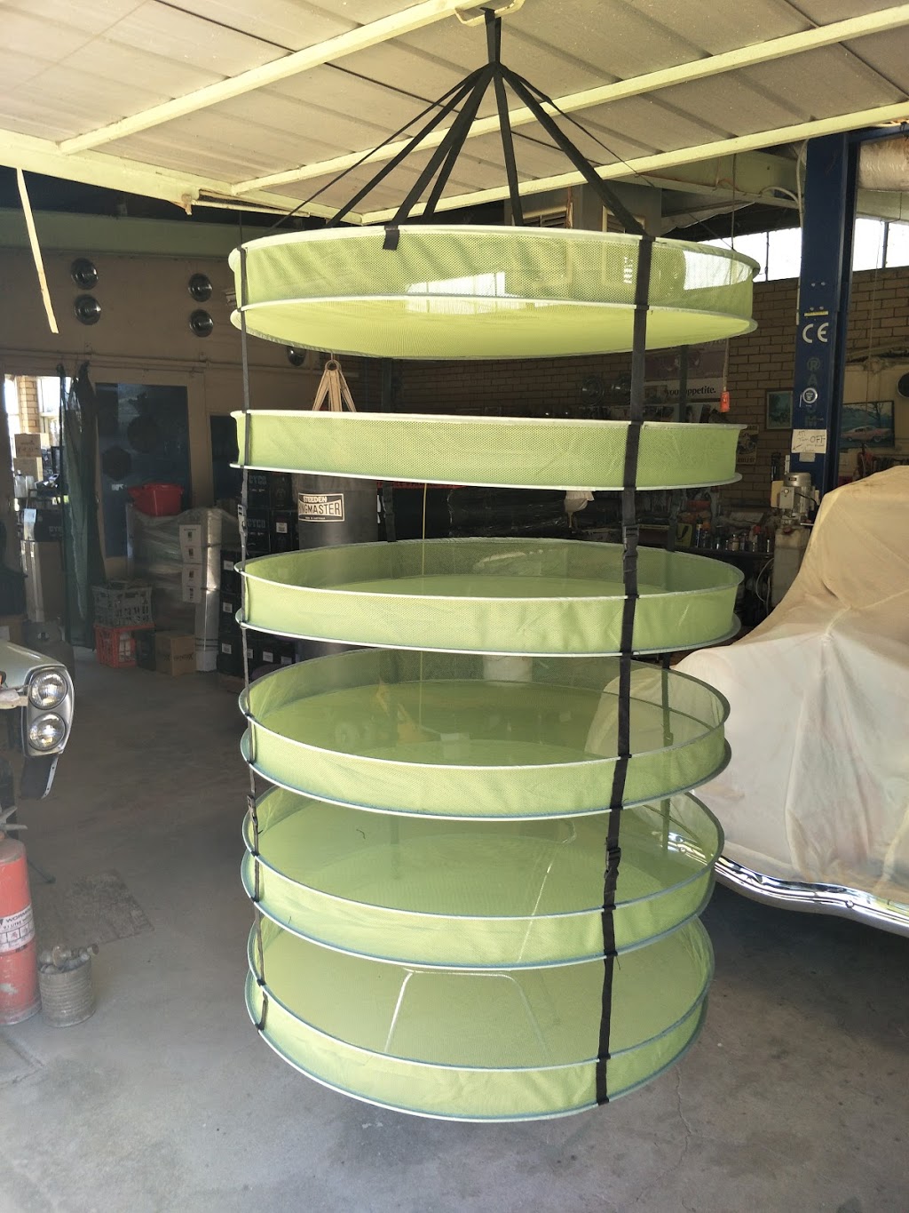 Hydroponic Nursery & Supplies | 23 Ogilvie Ave, Echuca VIC 3564, Australia | Phone: (03) 5480 2036