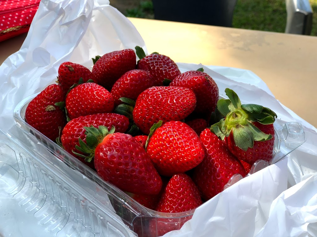 Shaylee Strawberries | cafe | 255 Marks Ln, Atherton QLD 4883, Australia | 0740912962 OR +61 7 4091 2962