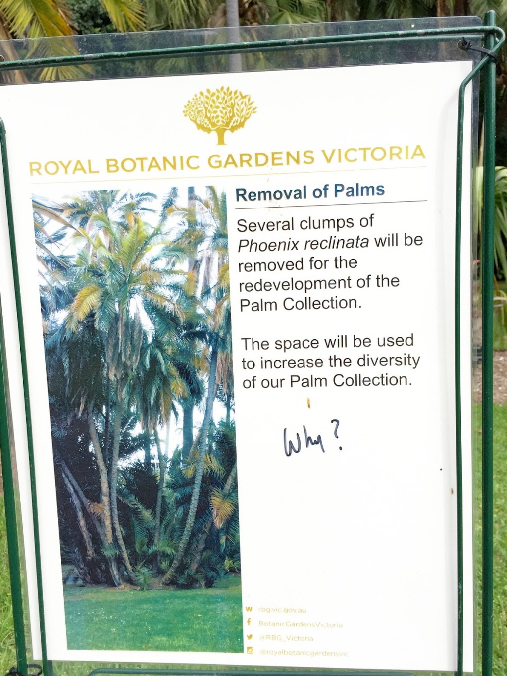Palm Lawn | park | Melbourne VIC 3004, Australia | 0392522300 OR +61 3 9252 2300