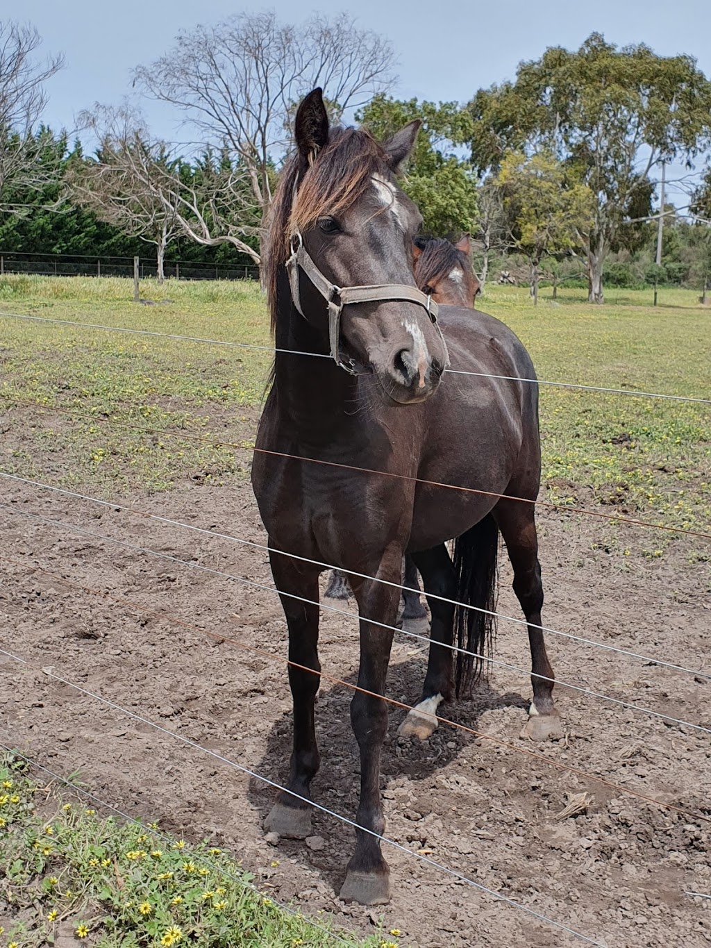 MUDDY HELL | 480 Mornington-Tyabb Rd, Moorooduc VIC 3933, Australia | Phone: 0431 980 666