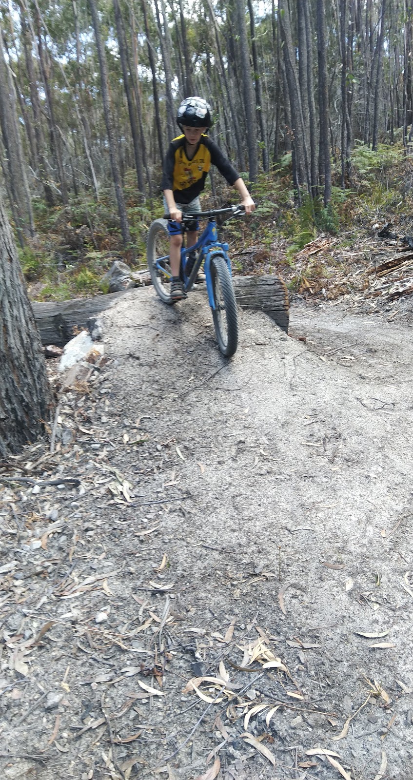 St Helens Trail Head (Stacked Loop) | Flagstaff Rd, St Helens TAS 7216, Australia