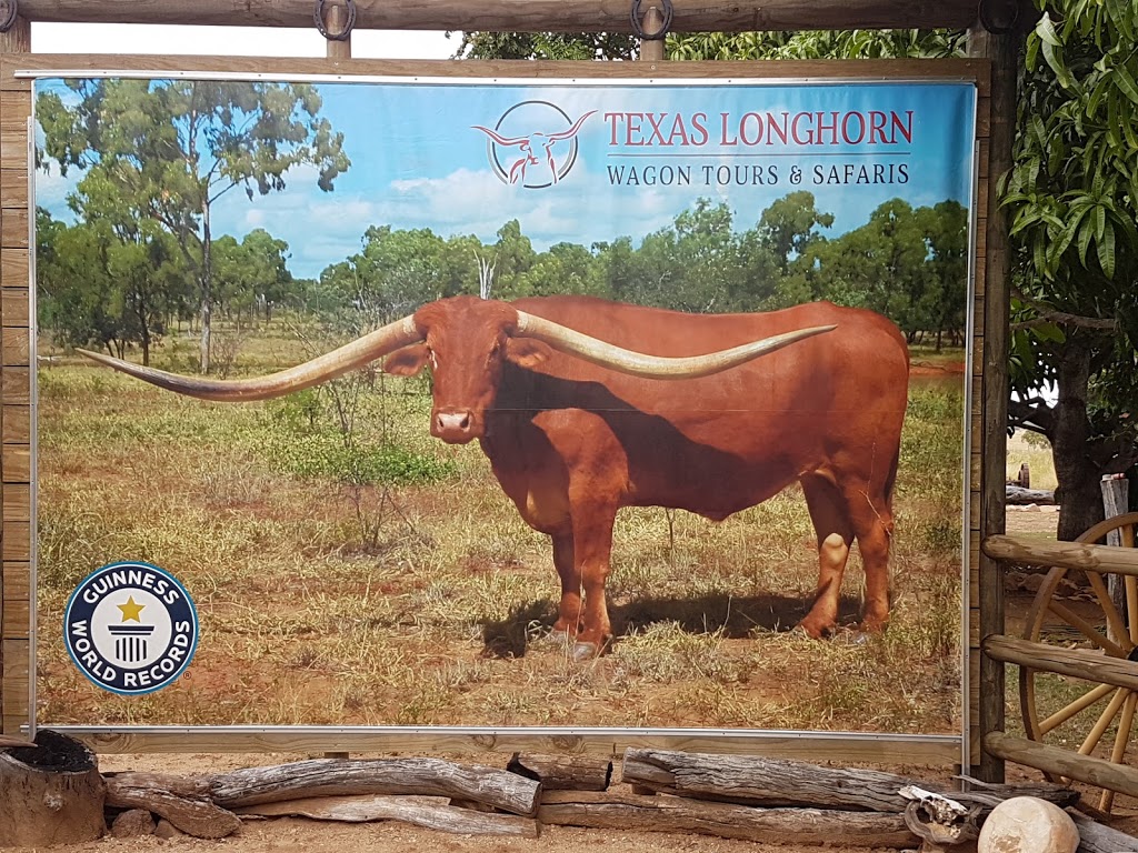 Texas Longhorn Tours | tourist attraction | 441 Urdera Rd, Southern Cross QLD 4820, Australia | 0474561122 OR +61 474 561 122
