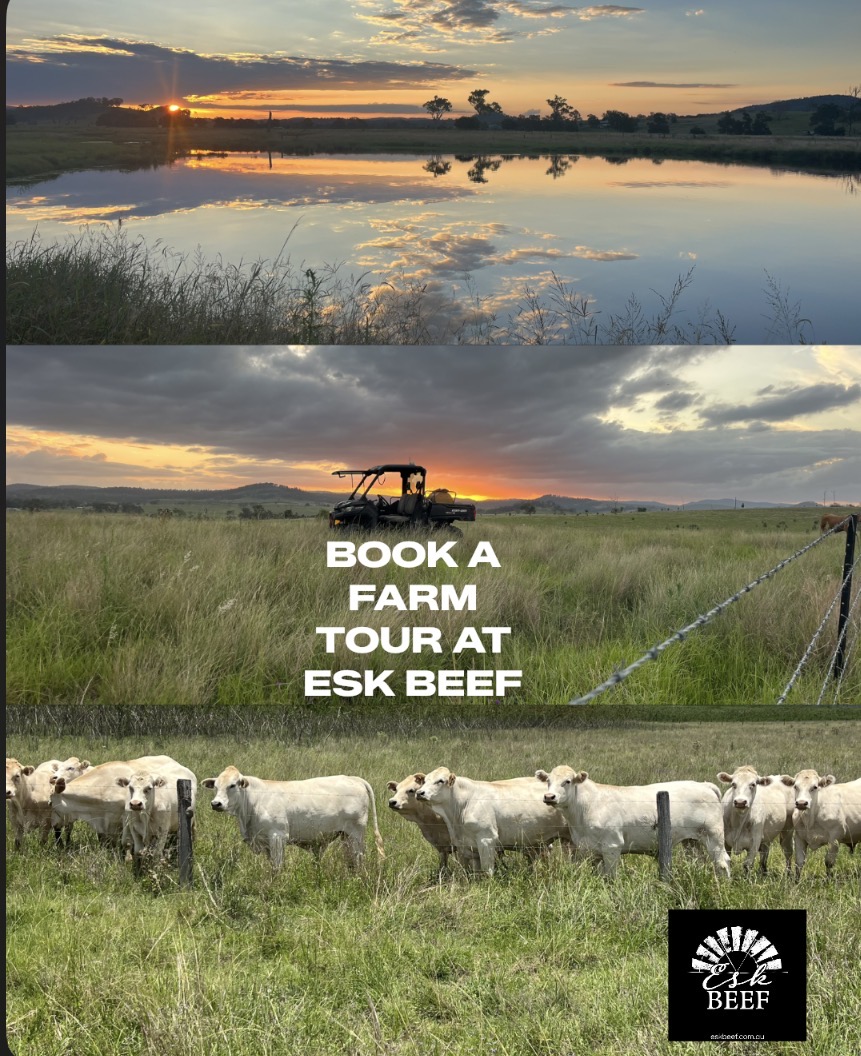 Esk Beef | IGA Esk, Biarra QLD 4313, Australia | Phone: 0417 714 285