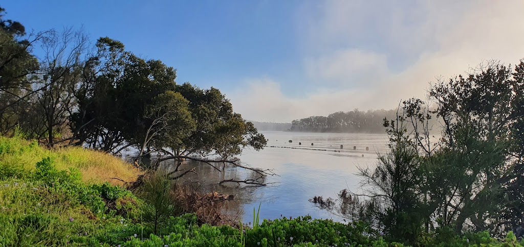 RJ Terry Oysters | 12 Calton Rd, Batehaven NSW 2536, Australia | Phone: 0429 456 774