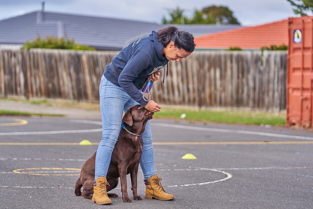 The Complete Canine | 59 Bondi Parade, Point Cook VIC 3030, Australia | Phone: 0450 059 603