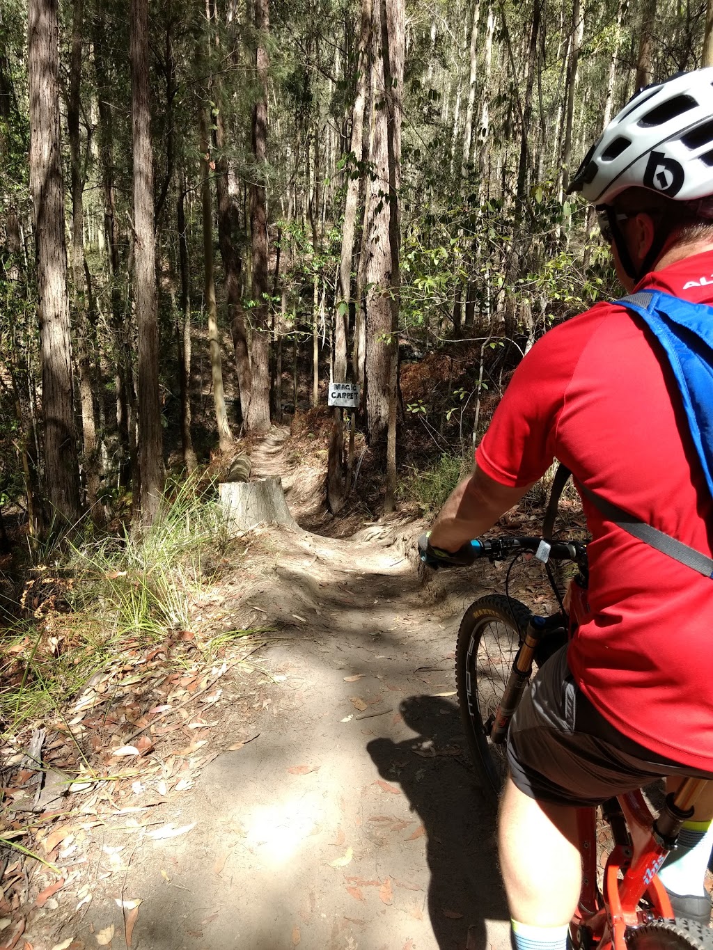 Central Coast Mountain Bike Club Trailhead | park | Red Hill Rd, Ourimbah NSW 2258, Australia