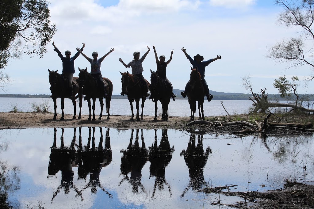 Noosa Horse Riding | travel agency | 22 Wills Road, Weyba Downs QLD 4562, Australia | 0438710530 OR +61 438 710 530