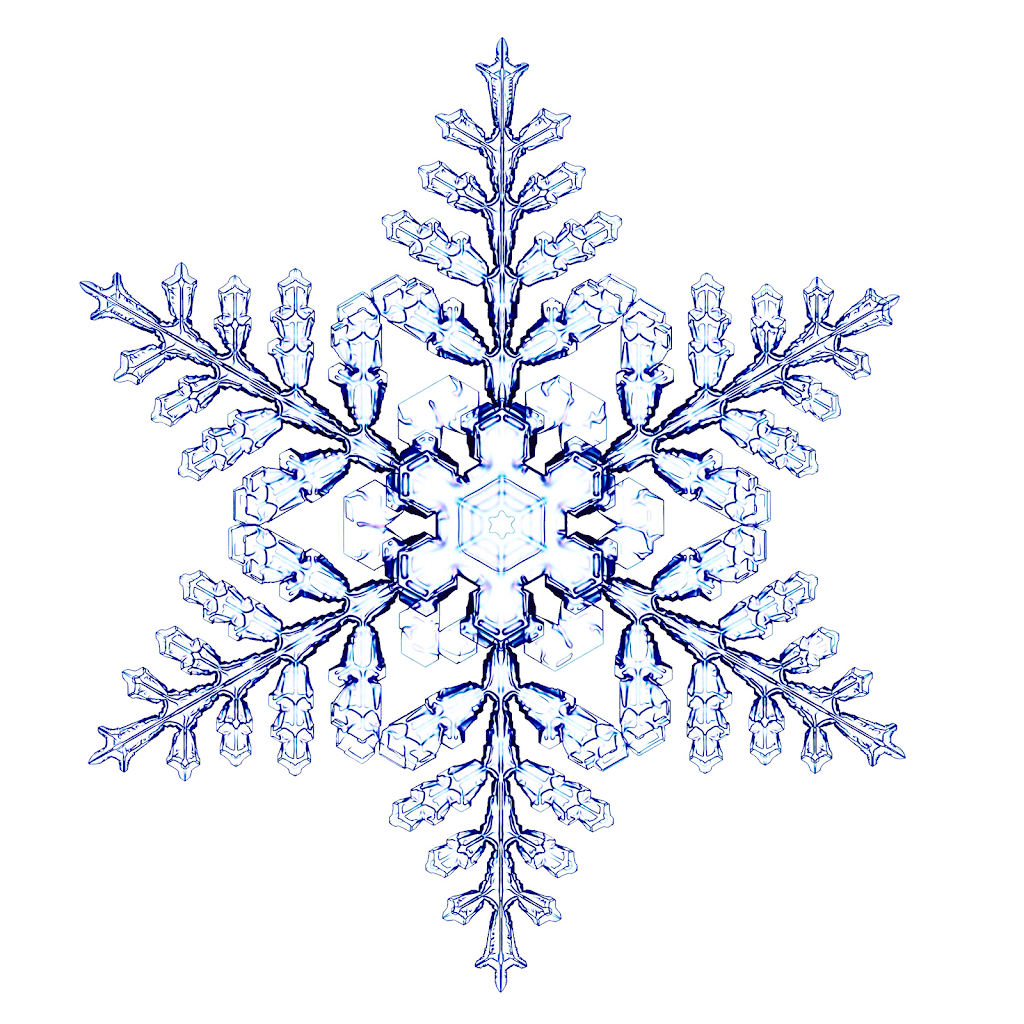Snowflake Herbal | health | 1/16 Tweed Coast Rd, Cabarita Beach NSW 2488, Australia | 0401399288 OR +61 401 399 288