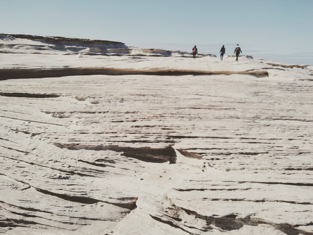 Cape Baily Track | Kurnell NSW 2231, Australia | Phone: (02) 9668 2010