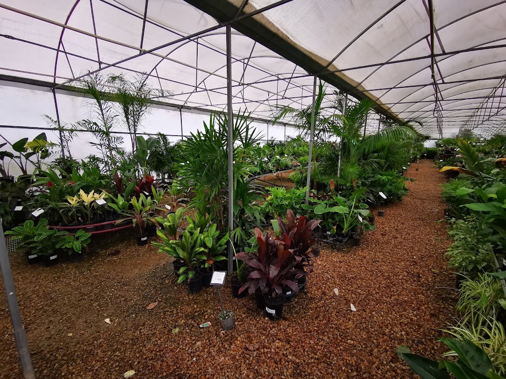 Plantmark Wantirna | 771 Boronia Rd, Wantirna VIC 3152, Australia | Phone: (03) 9845 6900