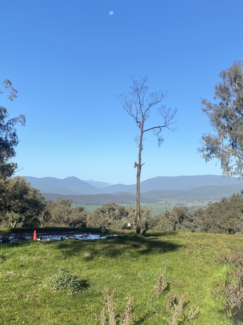 Ultimate Arbor | 406 Glenrowan Rd, Wangaratta South VIC 3678, Australia | Phone: 0477 776 131