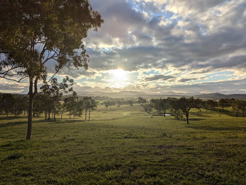 Larapinta Campers & Cows | 419 Christmas Creek Rd, Laravale QLD 4285, Australia | Phone: 0460 853 445