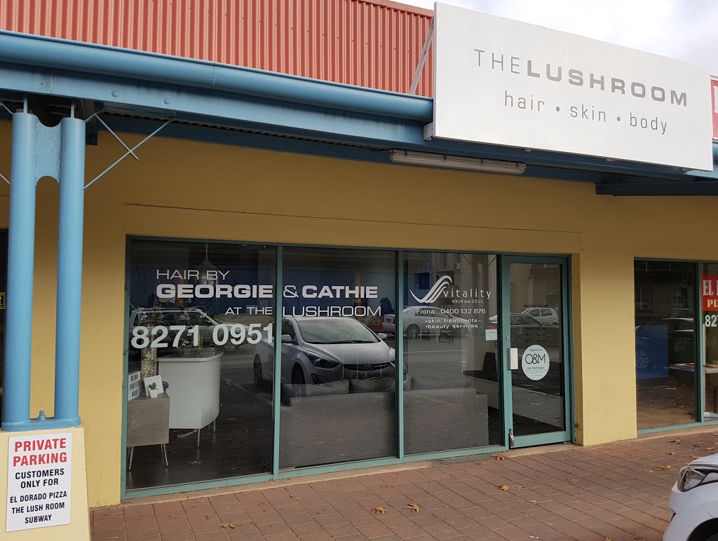 The Lush Room | hair care | 14b Brook St, Torrens Park SA 5062, Australia | 0402403466 OR +61 402 403 466