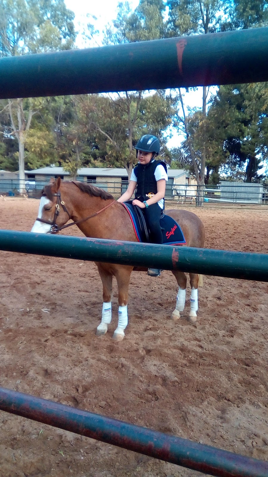 womma equestrian and agistment centre | 529 Womma Rd, Penfield SA 5121, Australia | Phone: 0424 530 062