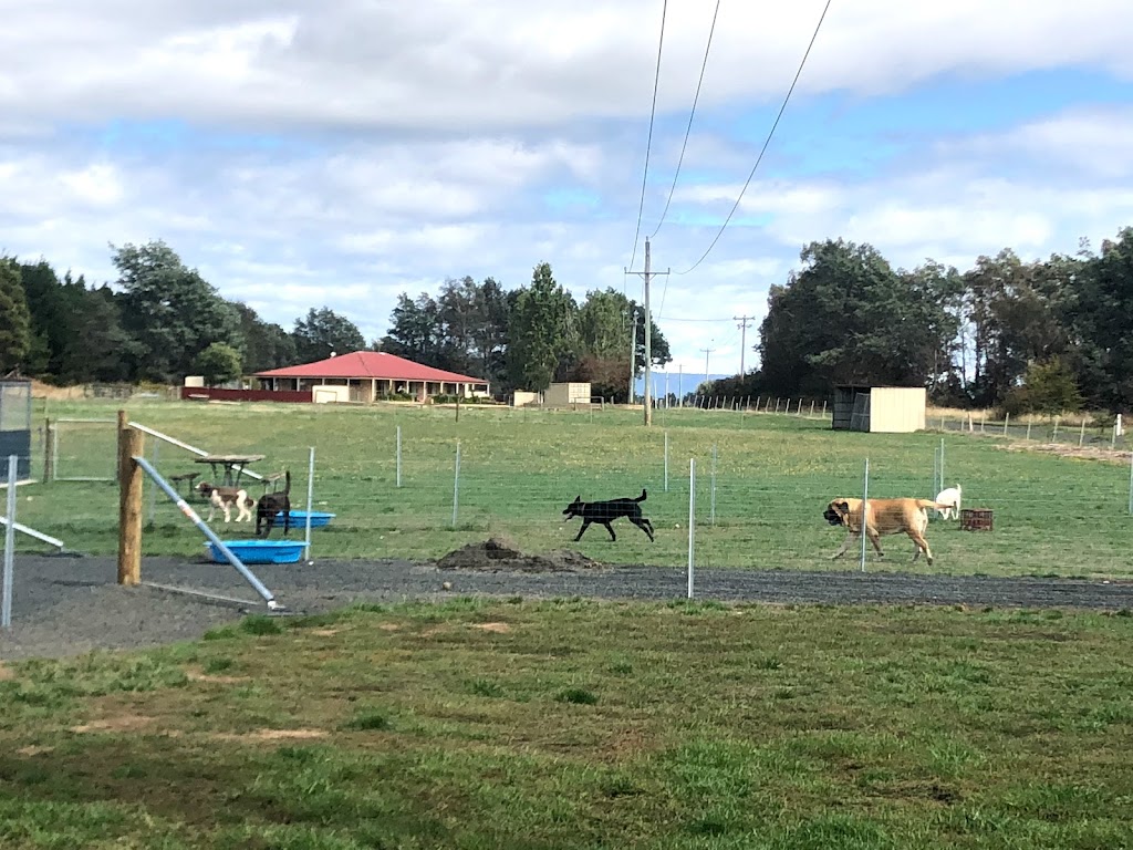 Castle Boarding Kennels | 1640 Bishopsbourne Rd, Longford TAS 7301, Australia | Phone: 0418 546 086