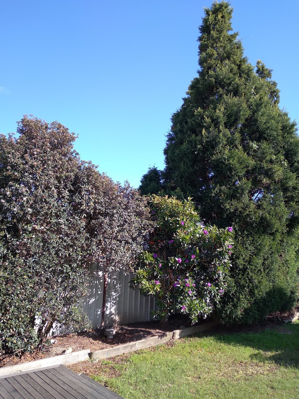 Godfreys Gutter Cleaning & Tree Services | 2 Karwin Rd, Medowie NSW 2318, Australia | Phone: 0432 097 369