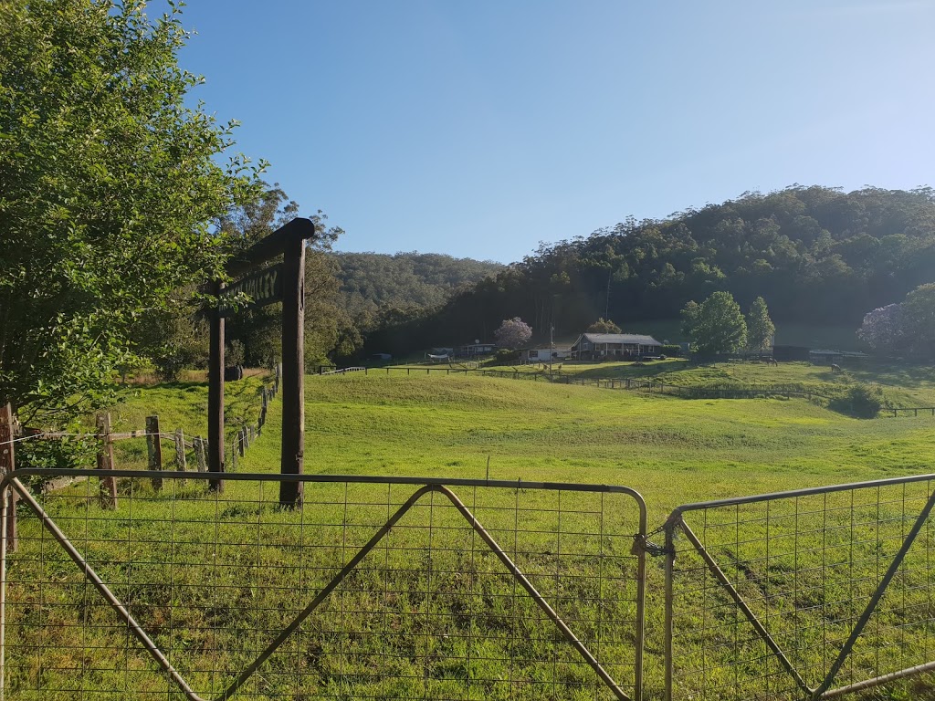 Palm Grove Nature Reserve | Somersby NSW 2250, Australia