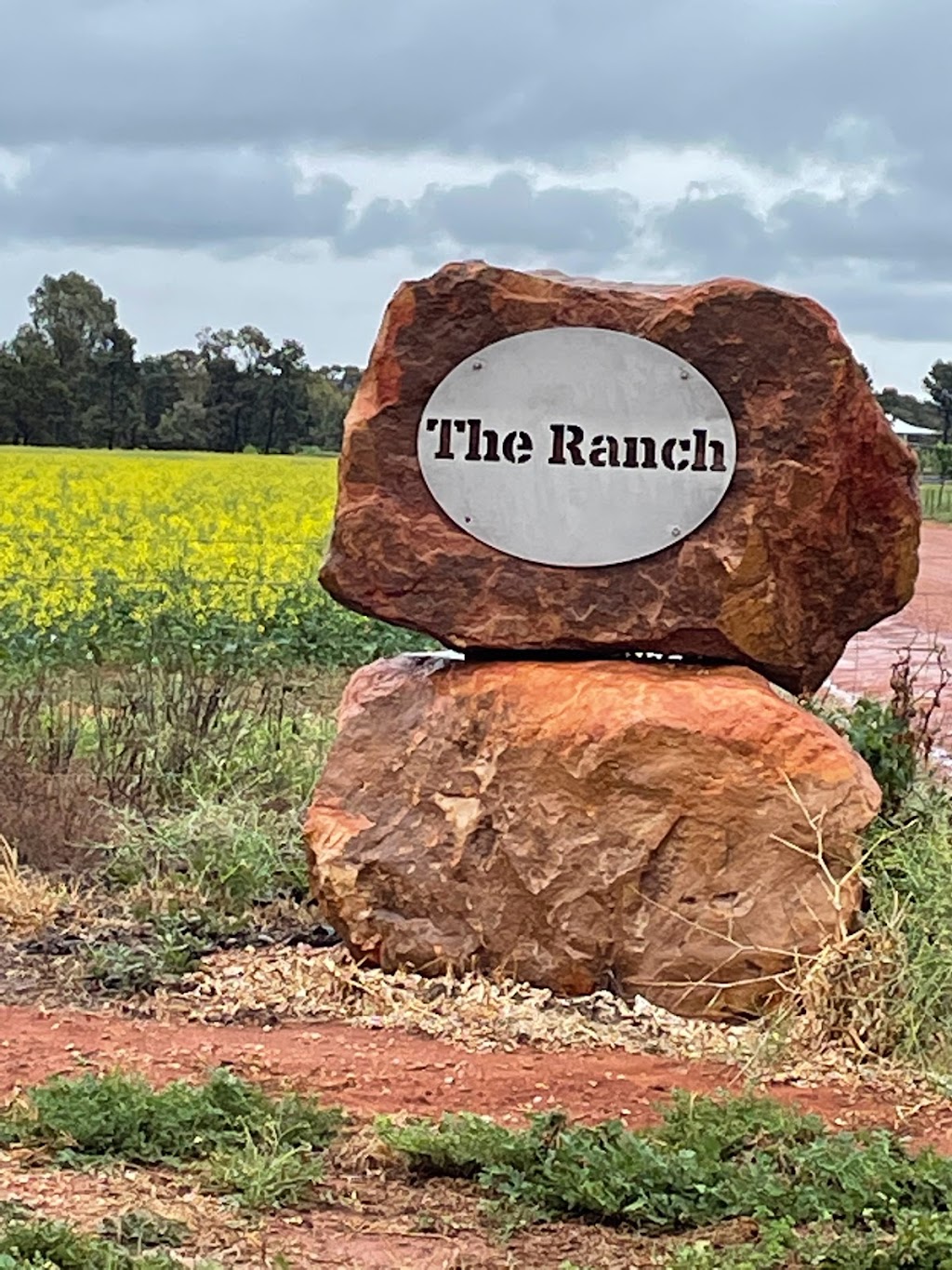 The Ranch | 300 Ranch Road, Tabbita NSW 2652, Australia | Phone: 0427 065 442