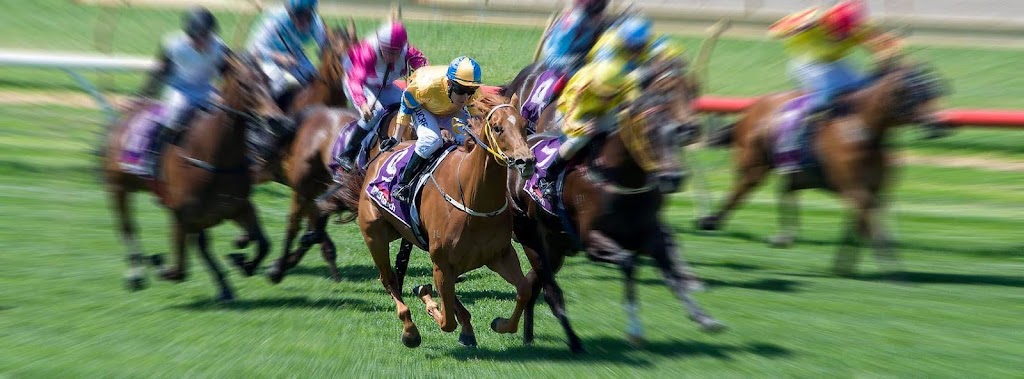 Crispin Racing Stables |  | Alice Rd, Cardup WA 6122, Australia | 0409012468 OR +61 409 012 468