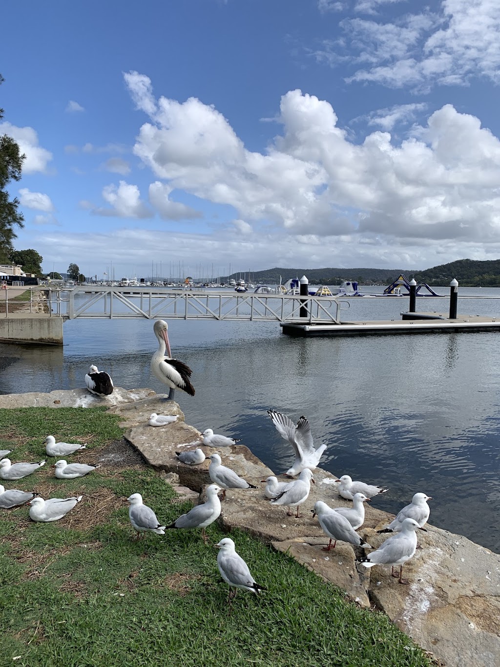 1st Gosford Scout Hall | 10 Masons Parade, Point Frederick NSW 2250, Australia | Phone: 0439 474 916