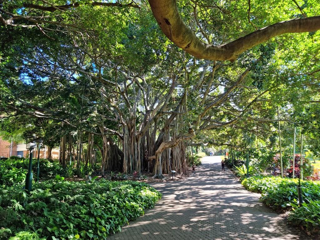 Brisbane City Botanic Gardens | 147 Alice St, Brisbane City QLD 4000, Australia | Phone: (07) 3403 8888