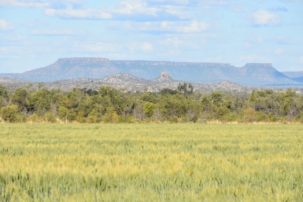 Clermont Community Business Group | Station Platform, Herschel St, Clermont QLD 4721, Australia | Phone: 0448 629 799