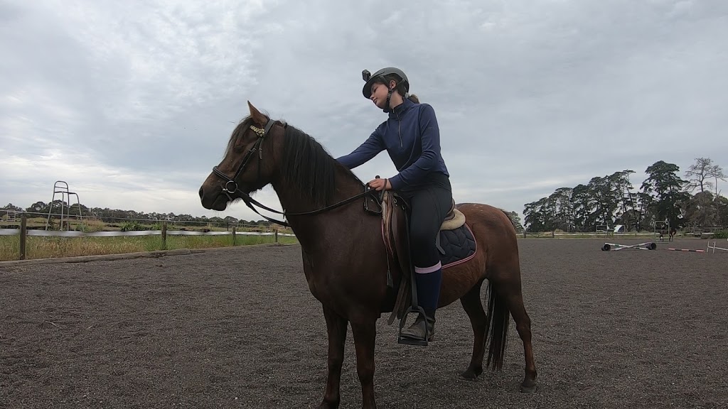 Geelong Equine Assisted Learning | 221 Lings Rd, Wallington VIC 3222, Australia | Phone: 0432 977 814