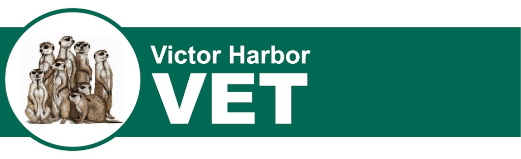 Victor Vets | veterinary care | 29 Adamson St, Hayborough SA 5211, Australia | 0885521188 OR +61 8 8552 1188